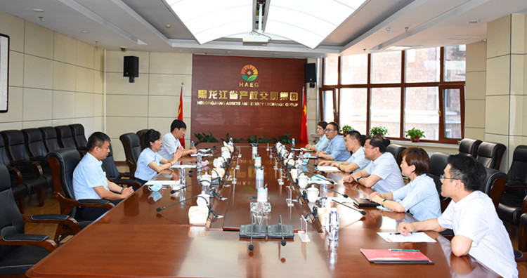 狮子会 - 打造绿色游戏娱乐