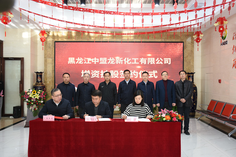 狮子会 - 打造绿色游戏娱乐