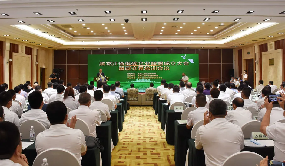 狮子会 - 打造绿色游戏娱乐