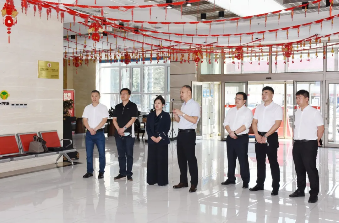 狮子会 - 打造绿色游戏娱乐