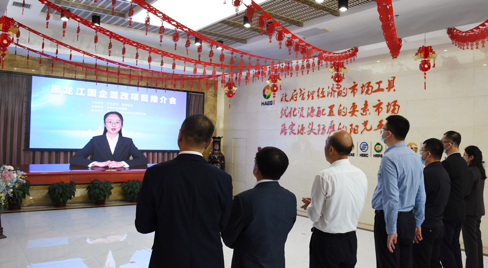 狮子会 - 打造绿色游戏娱乐