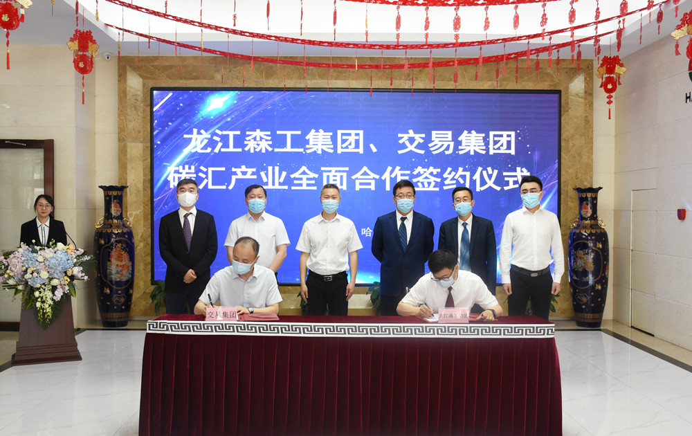 狮子会 - 打造绿色游戏娱乐