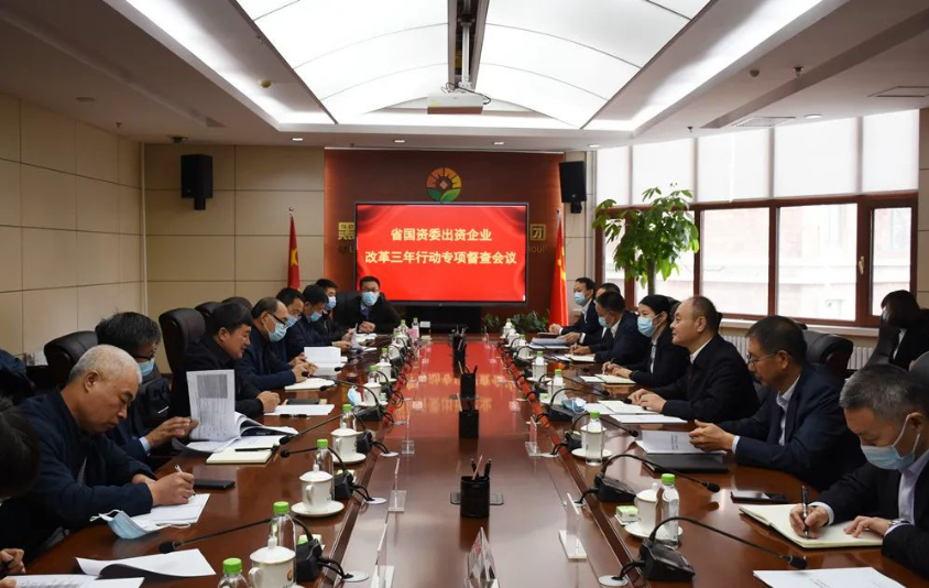 狮子会 - 打造绿色游戏娱乐