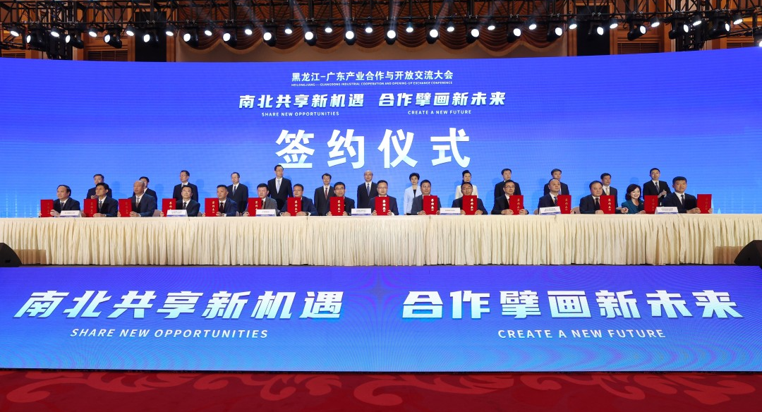 狮子会 - 打造绿色游戏娱乐