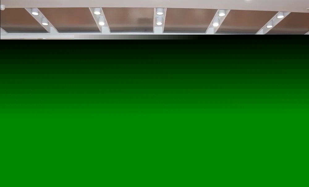 狮子会 - 打造绿色游戏娱乐